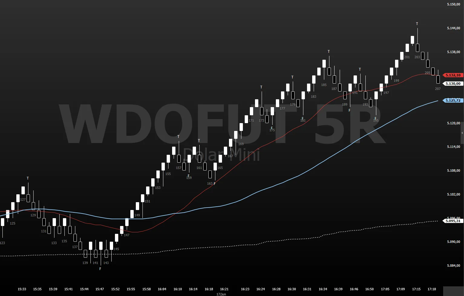 Sistema Renko aplicado no Mini Dólar (WDO)